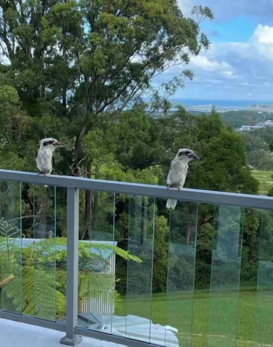 Appartamento Ocean View Oasis, Coffs Harbour Esterno foto